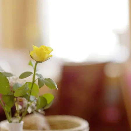 Trierer Hof 3* コブレンツ