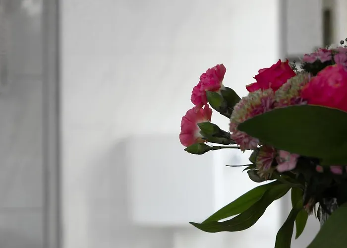 호텔 Trierer Hof 3*