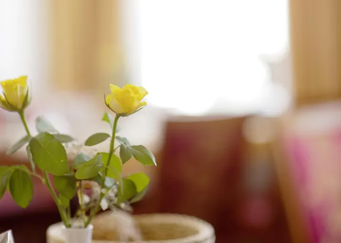 Trierer Hof 3* 코블렌츠